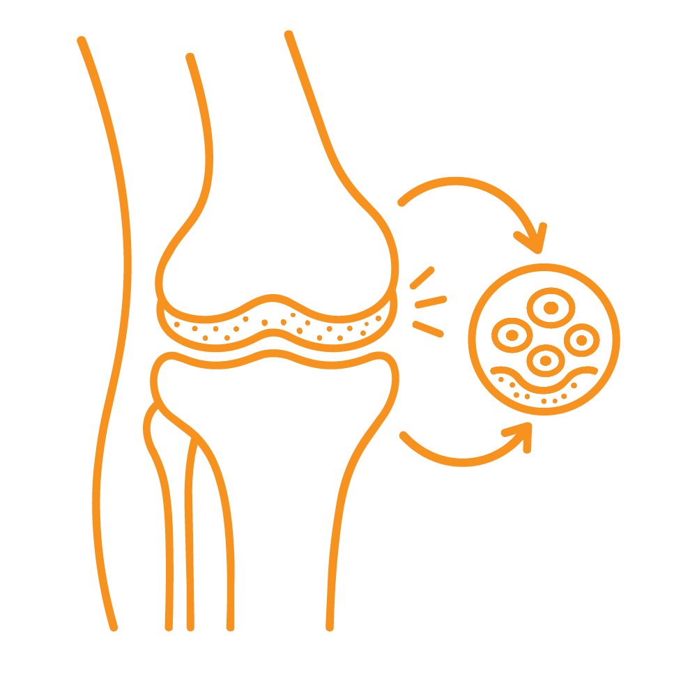 Icon Cartilage regeneration